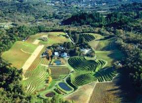 benziger family winery