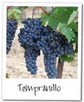 tempranillo 174x210