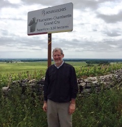 burgundy bob vineyard3