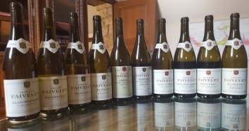 burgundy faiveley lineup 350x190