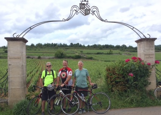 burgundy montrachet brothers