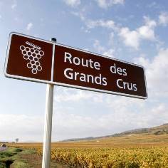 burgundy route_des_grands_crus