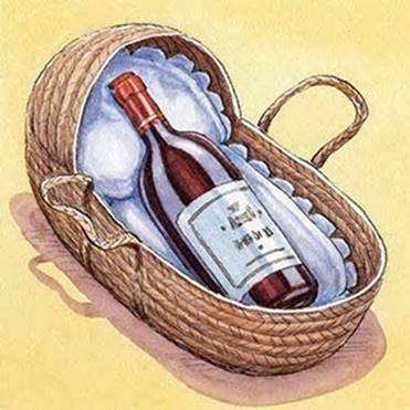 baby bottle basinette
