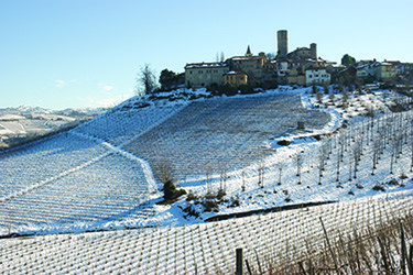 Barbaresco-winter