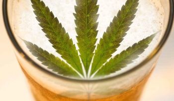 cannabis-beer-pot