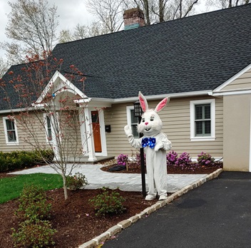 easter bunny 2019