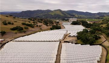 fiddlestix_pothouses 360x210